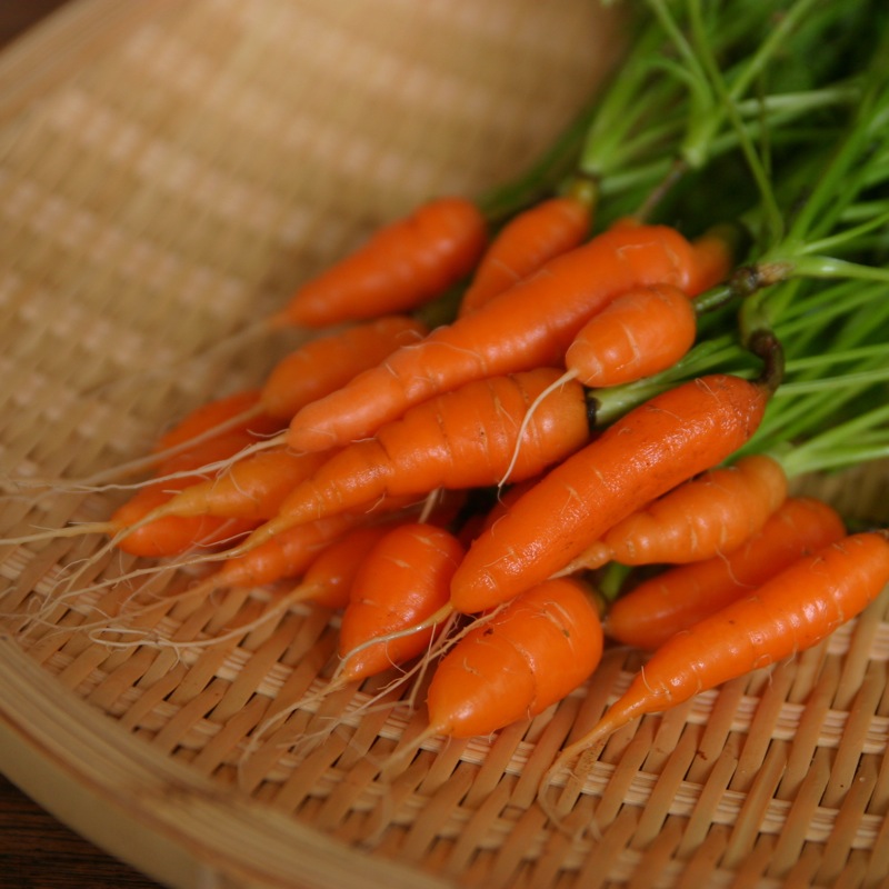 mini-cenoura