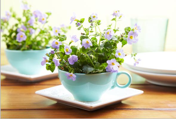 7-easy-ways-to-repurpose-teacups-1-size-3