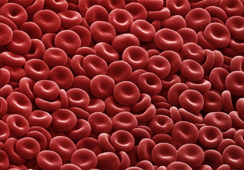 blood-cells_12-red-blood-ce